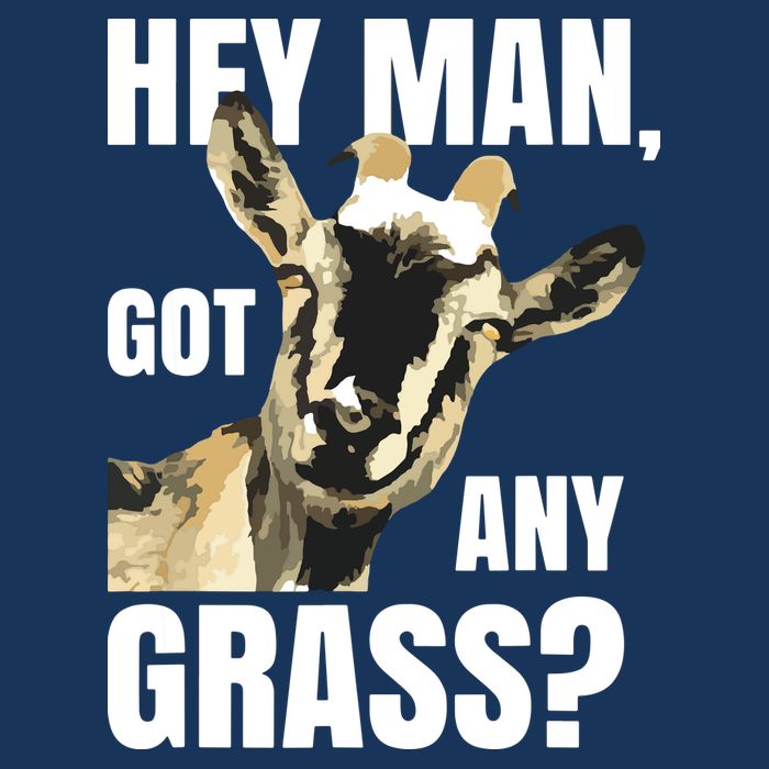 Goat Lovers Shirts Farm Animal Pun Pets Meme Funny Goat Flat Bill Trucker Hat