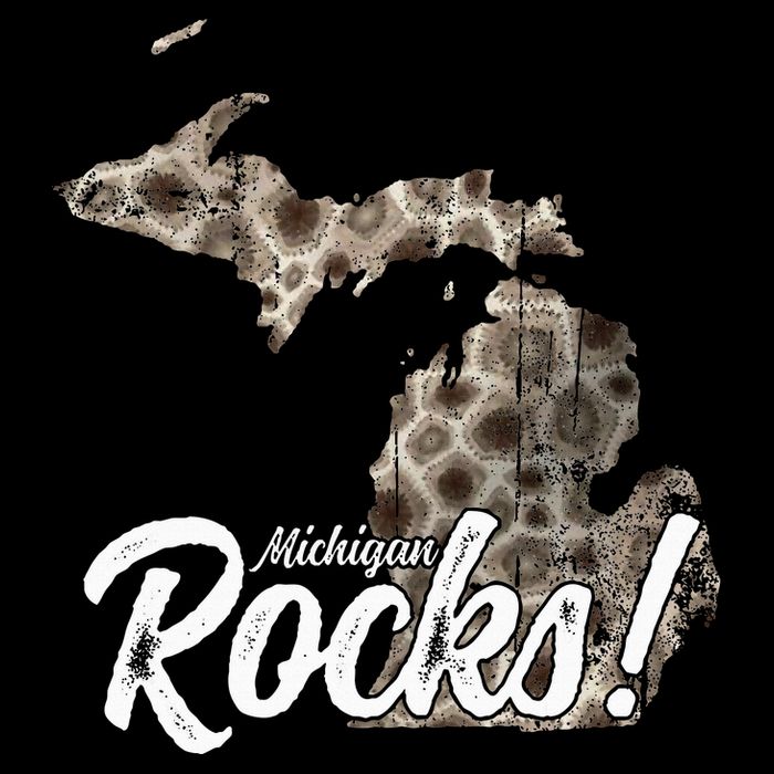 Great Lakes Shaped Wo Petoskey Stone Michigan Rocks Impact Tech Backpack