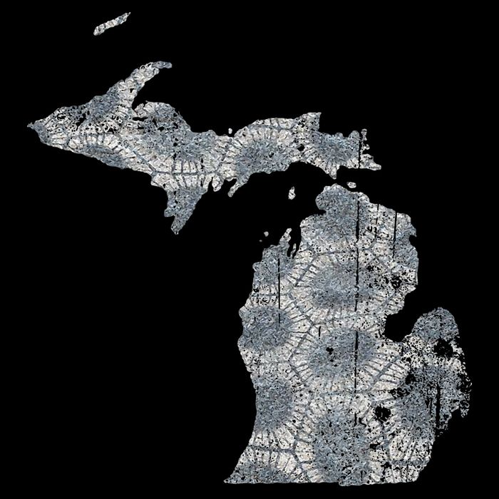 Great Lakes Shaped Women Summer Petoskey Stone Michigan Drawstring Bag