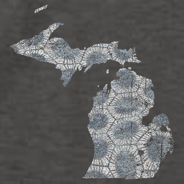 Great Lakes Shaped Women Summer Petoskey Stone Michigan Vector Backpack