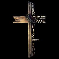 God Loved The World That He Gave His Only Son Long Sleeve Shirt