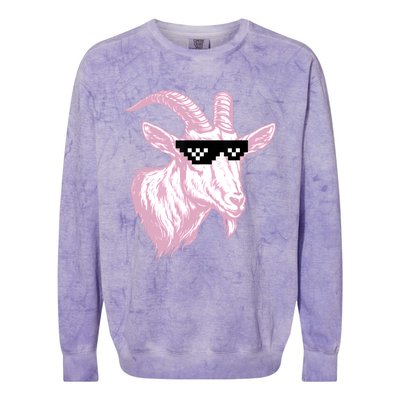 GOAT MIAMI 10 Colorblast Crewneck Sweatshirt