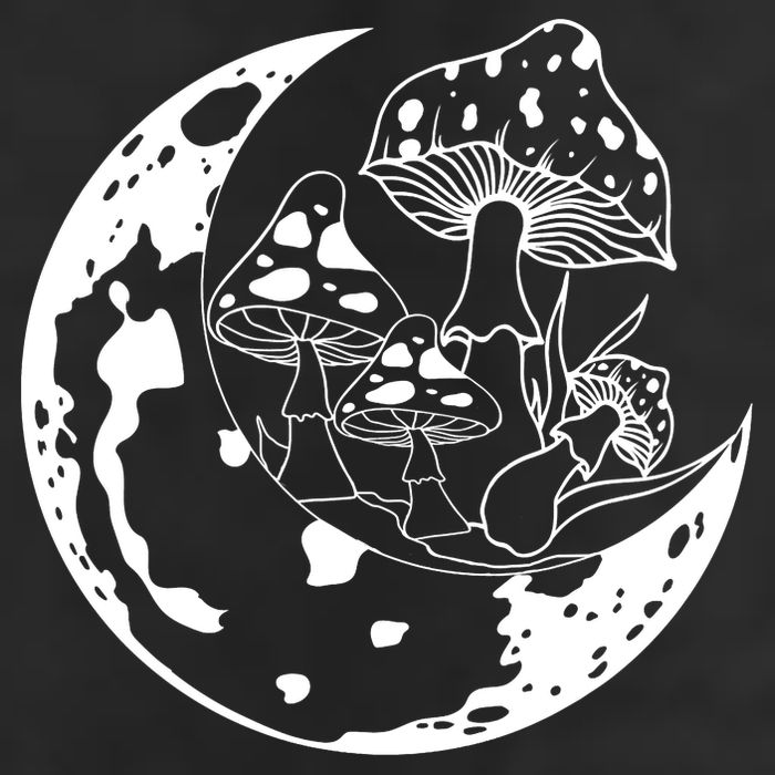 Goblincore Moon Aesthetic Dark Academia Mushroom Hat