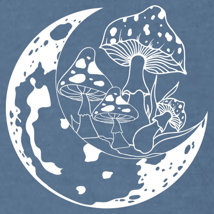 Goblincore Moon Aesthetic Dark Academia Mushroom Garment-Dyed Sweatshirt