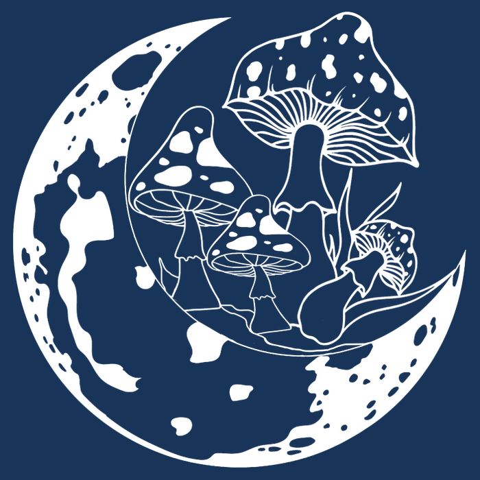 Goblincore Moon Aesthetic Dark Academia Mushroom Premium T-Shirt