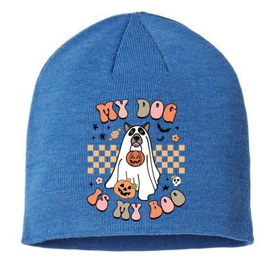 Groovy My Dog Is My Boo Cute Dog Lover Halloween Gift Sustainable Beanie