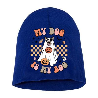 Groovy My Dog Is My Boo Cute Dog Lover Halloween Gift Short Acrylic Beanie