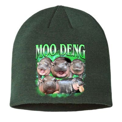 Green Moo Deng Meme Hippo Sustainable Beanie