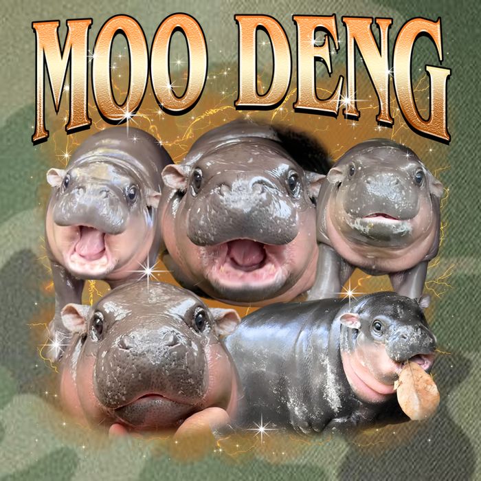 Gold Moo Deng Meme Hippo Funny Legacy Tie Dye Trucker Hat