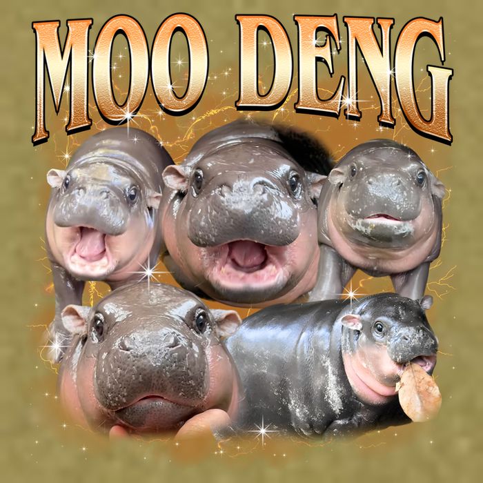 Gold Moo Deng Meme Hippo Funny Garment-Dyed Women's Muscle Tee