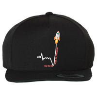 GME Stock AMC Hold To The Moon Buy The Dip Wool Snapback Cap