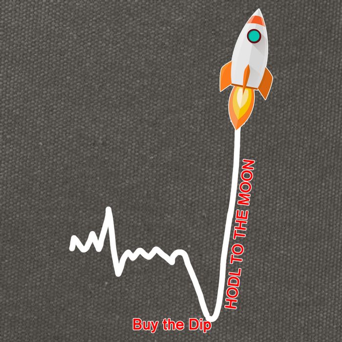 GME Stock AMC Hold To The Moon Buy The Dip Cotton Canvas Backpack