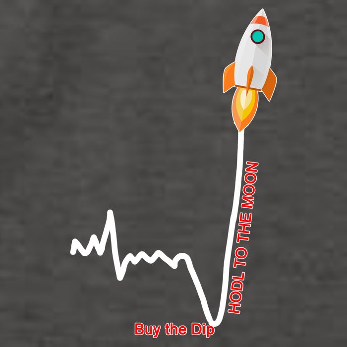 GME Stock AMC Hold To The Moon Buy The Dip Vector Backpack