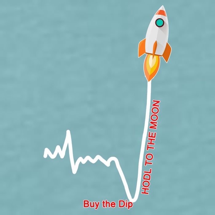 GME Stock AMC Hold To The Moon Buy The Dip Sueded Cloud Jersey T-Shirt