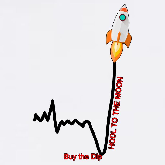 GME Stock AMC Hold To The Moon Buy The Dip Garment-Dyed Sweatshirt