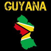 Guyana Map Flag Of Guyana 16 in Basic Backpack