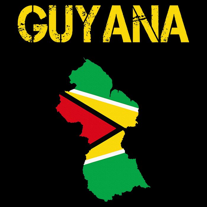 Guyana Map Flag Of Guyana 16 in Basic Backpack