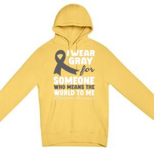 Glioblastoma Multiforme Gbm Advocate Astrocytoma Brain Tumor Gift Premium Pullover Hoodie