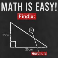 Geometry Math Is Easy Find X Here It Is Triangle Cool Comfort Performance Bucket Hat