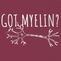 Got Myelin MS Multiple Sclerosis Awareness 16oz Travel Tumbler