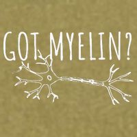 Got Myelin MS Multiple Sclerosis Awareness Garment-Dyed Women's Muscle Tee