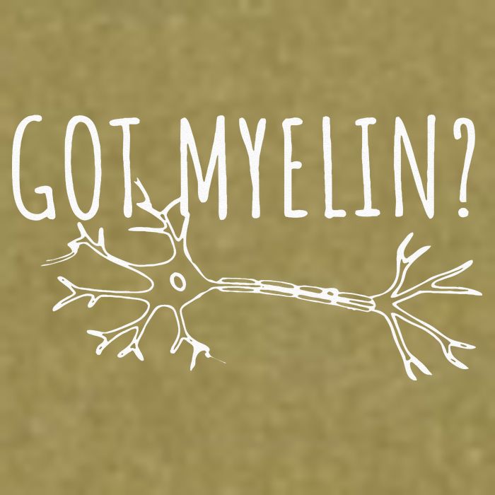 Got Myelin MS Multiple Sclerosis Awareness Garment-Dyed Women's Muscle Tee