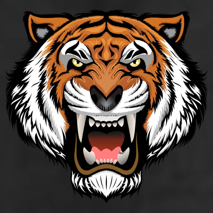Growling Mouth Open Bengal Tiger Adult Drive Performance Visor