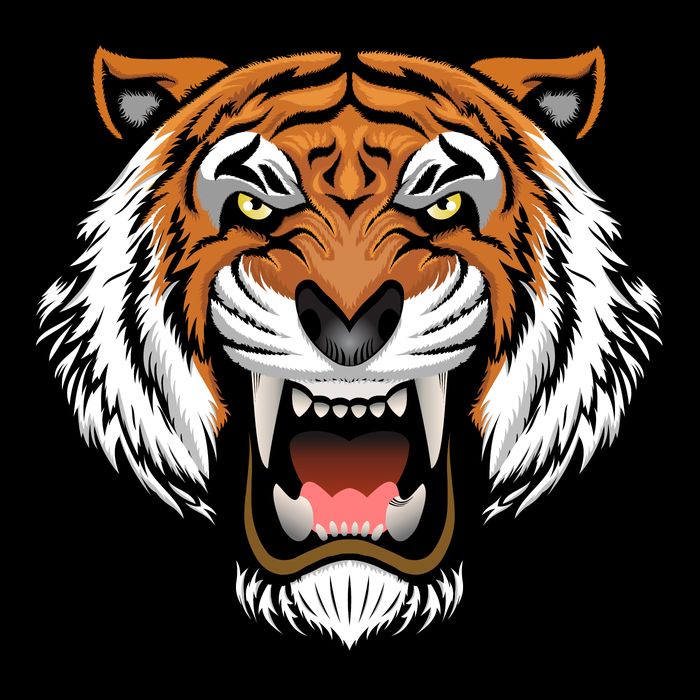 Growling Mouth Open Bengal Tiger Tie-Dye T-Shirt