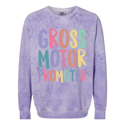 Gross Motor Promoter Physical Therapist Assistant PT Colorblast Crewneck Sweatshirt