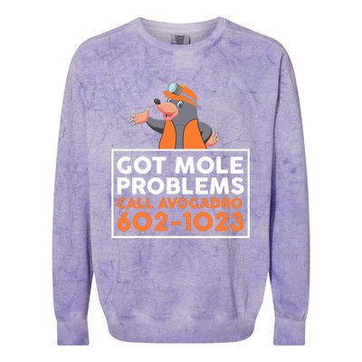 Got Mole Problem Call Avogadro Funny Mole Colorblast Crewneck Sweatshirt