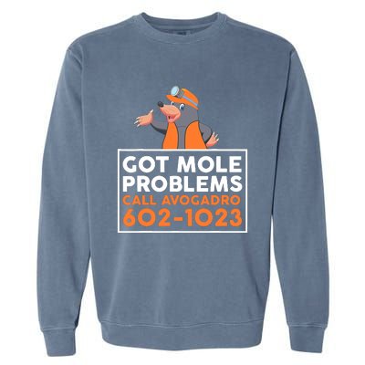 Got Mole Problem Call Avogadro Funny Mole Garment-Dyed Sweatshirt