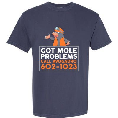 Got Mole Problem Call Avogadro Funny Mole Garment-Dyed Heavyweight T-Shirt