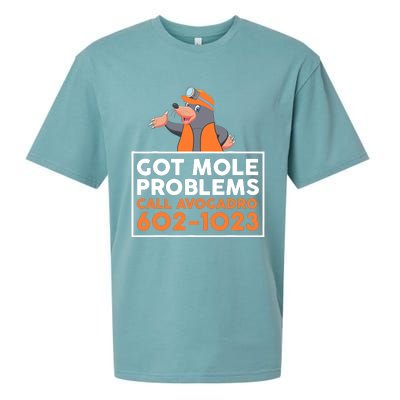 Got Mole Problem Call Avogadro Funny Mole Sueded Cloud Jersey T-Shirt