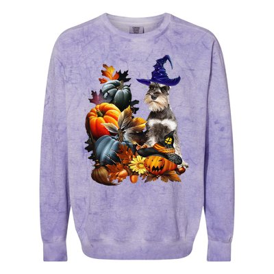 Grey Miniature Schnauzer Witch Hat Spooky Pumpkin Halloween Colorblast Crewneck Sweatshirt