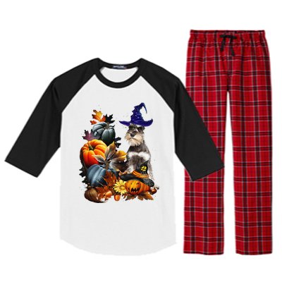 Grey Miniature Schnauzer Witch Hat Spooky Pumpkin Halloween Raglan Sleeve Pajama Set