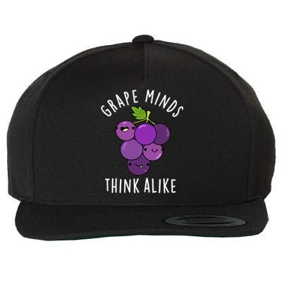 Grape Minds Think Alike Funny Fruit Pun Wool Snapback Cap