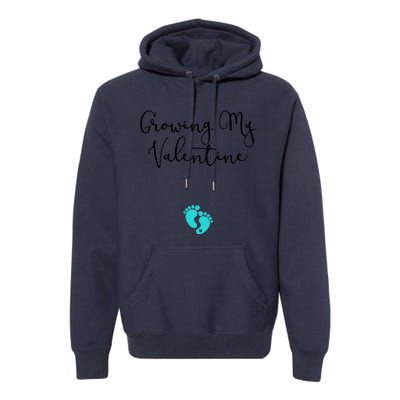 Growing My Valentine Valentines Day Pregnancy Announcet Gift Premium Hoodie