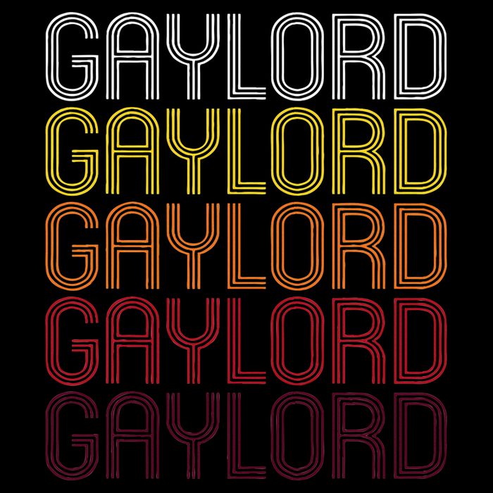 Gaylord Mn Vintage Style Minnesota Toddler T-Shirt