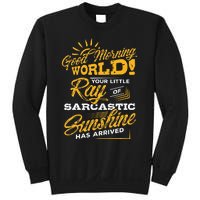 Good Morning World Sarcastic Ray Of Sunshine Sweatshirt