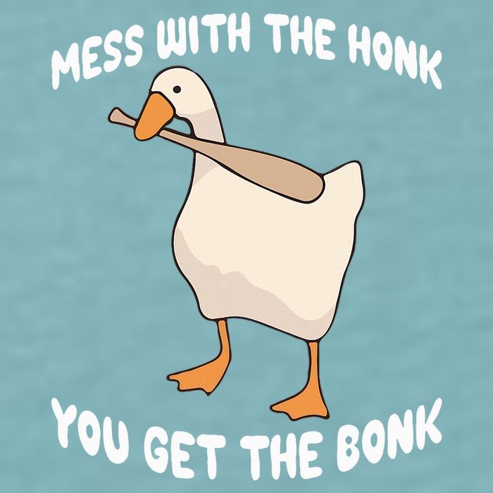 Goose Mess With The Honk You Get The Bonk Sueded Cloud Jersey T-Shirt