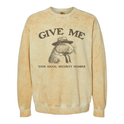 Give Me Your Social Security Number Capybara Colorblast Crewneck Sweatshirt