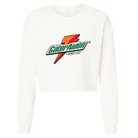 Gatoraiden Name Funny Aiden Meaning Personalized Cropped Pullover Crew