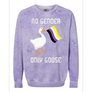 Goose No Gender Pride Flag Lgbtq Gay Colorblast Crewneck Sweatshirt