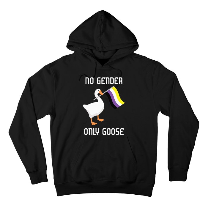 Goose No Gender Pride Flag Lgbtq Gay Hoodie