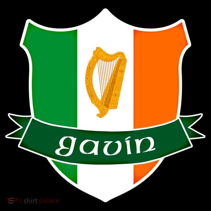 Gavin Name Irish Gift Irish Flag Harp Crest Backpack
