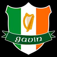 Gavin Name Irish Gift Irish Flag Harp Crest Mug