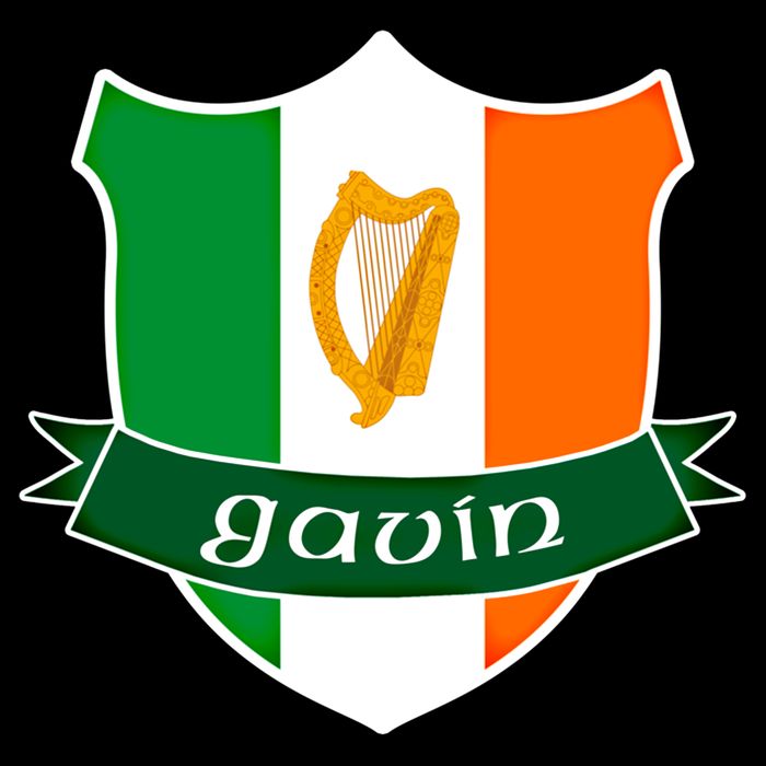 Gavin Name Irish Gift Irish Flag Harp Crest Mug