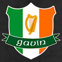 Gavin Name Irish Gift Irish Flag Harp Crest 25L Jumbo Tote