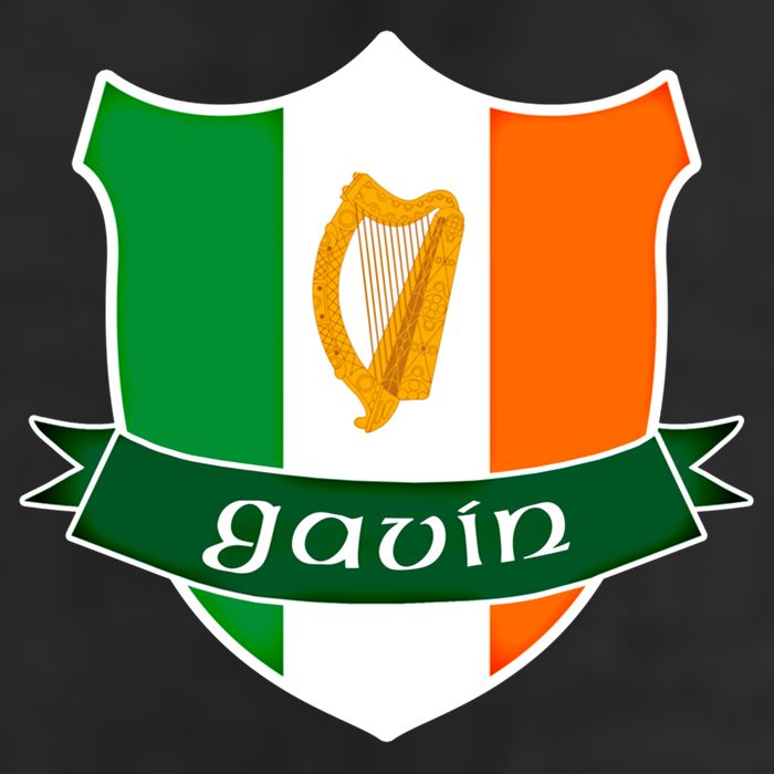 Gavin Name Irish Gift Irish Flag Harp Crest 25L Jumbo Tote