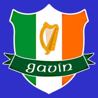 Gavin Name Irish Gift Irish Flag Harp Crest Button